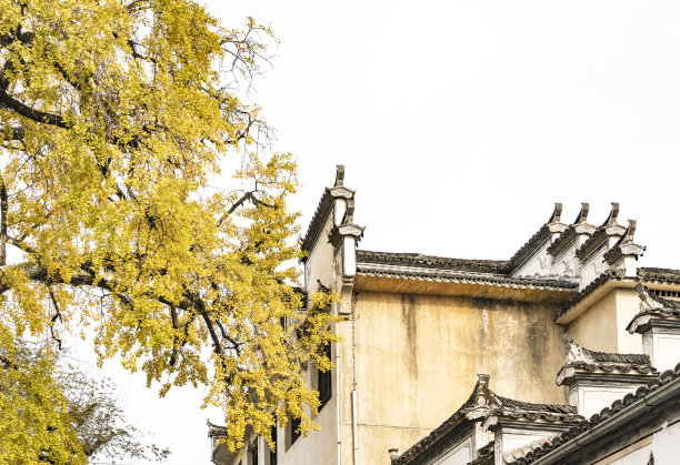 宁静的小山村