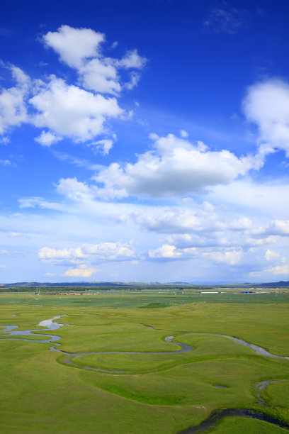 世界湿地日