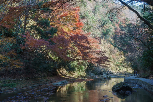 水上栈道