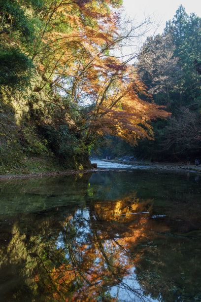 水上栈道