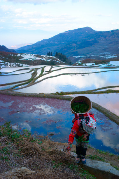 民族村落