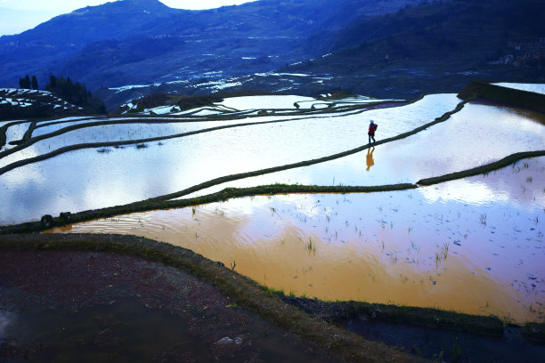 农旅融合