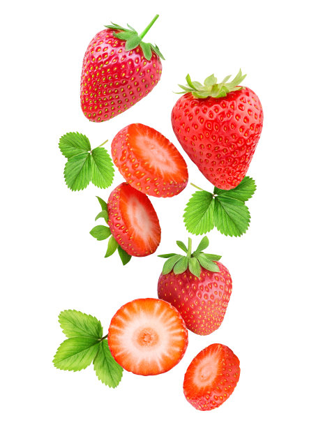 草莓草莓