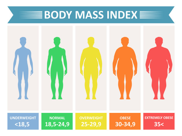 身体质量指数