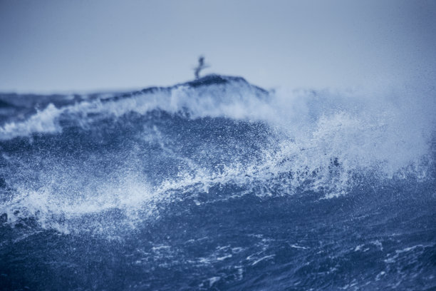 海啸 大海