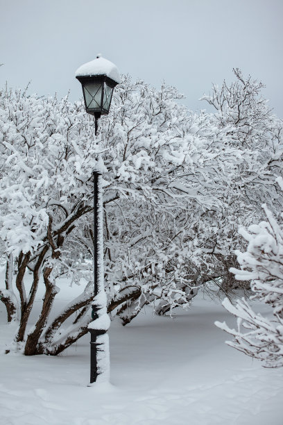 风雪中的路灯