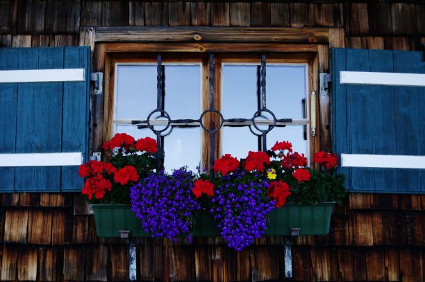 温带的花,窗台,水平画幅