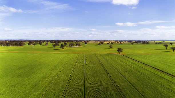 澳大利亚草原