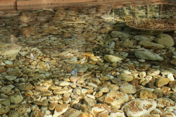 水中的大石头