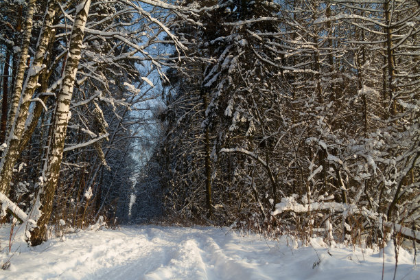 东北雪景冬季积雪