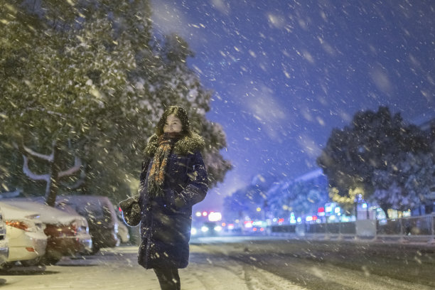 雪天路灯