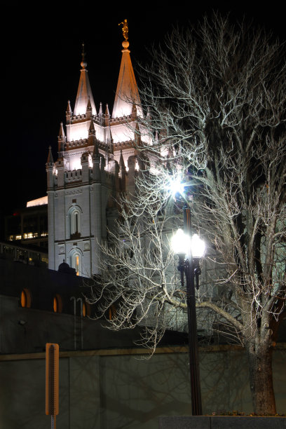 盐湖城摩门教大教堂