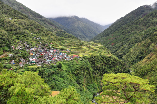 阴森林中小屋