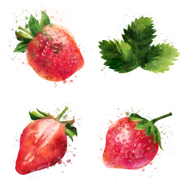 草莓水彩