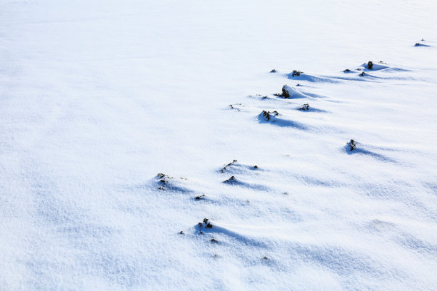 雪堆