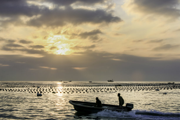 深圳海景