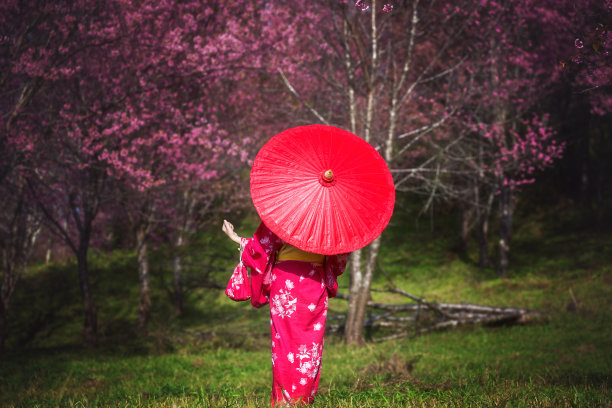 日本伞
