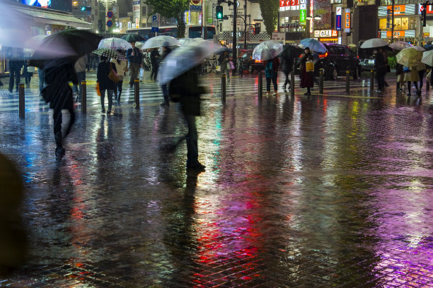 大雨将至