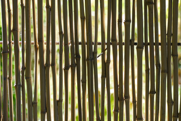 芦苇竹围栏