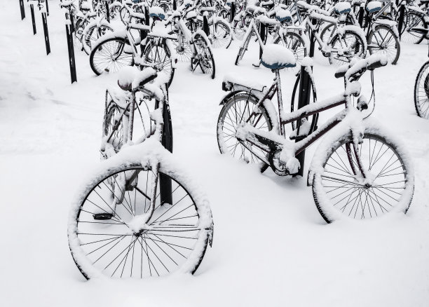 公园里冬天的游览自行车