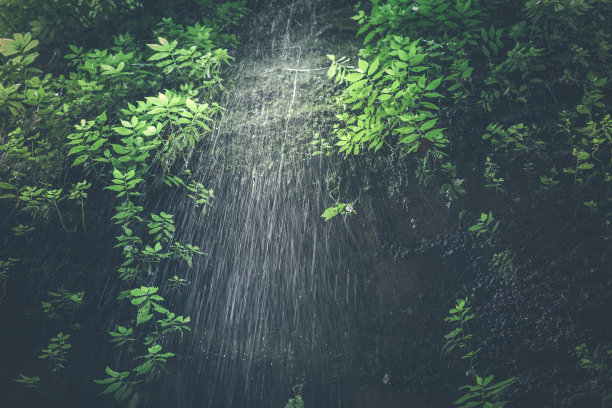 绿色小雨点