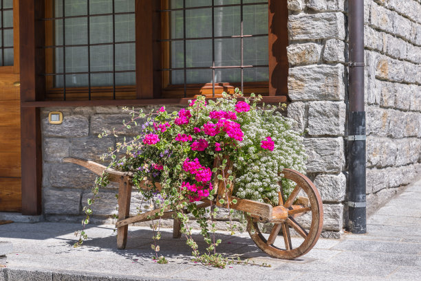 花园小屋