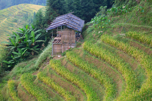 桂林雨景