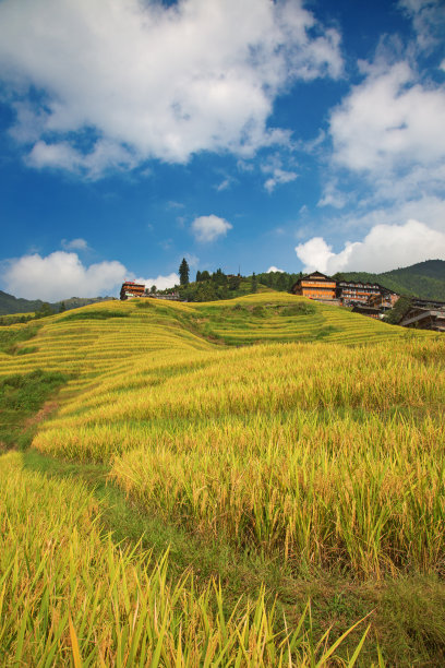 盘龙村