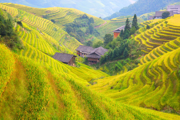 桂林雨景