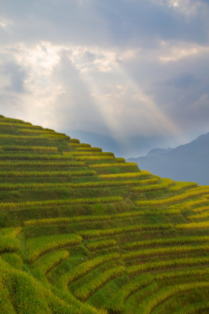 桂林雨景