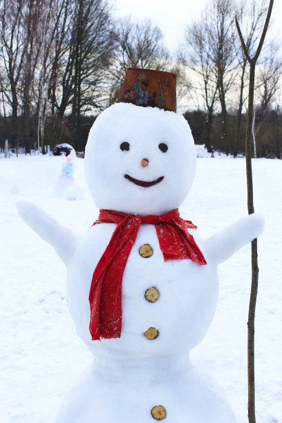 质感圣诞雪人