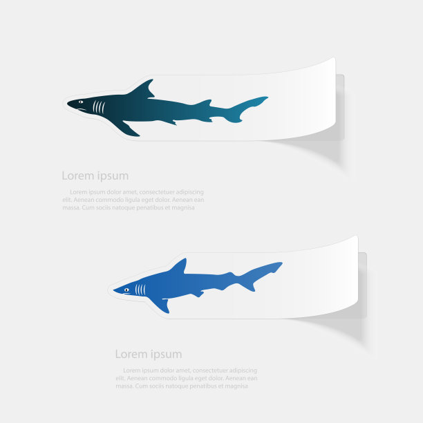 鲨鱼矢量素材