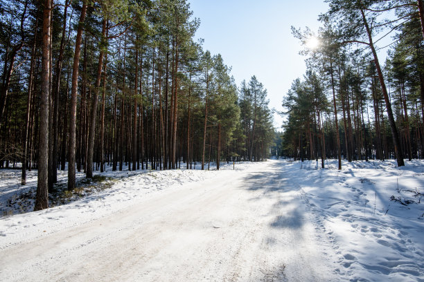 冬季森林道路越野车