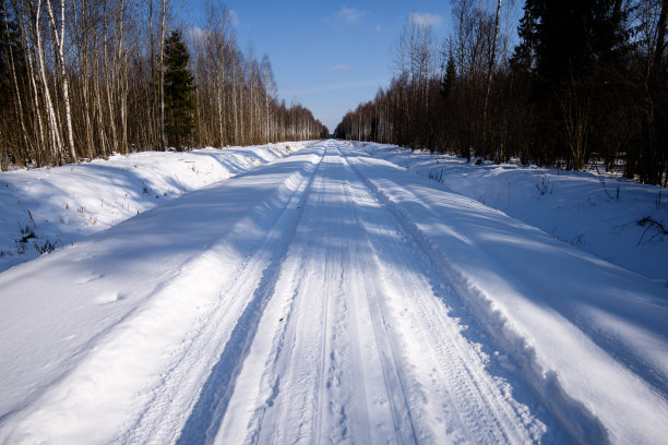 冬季森林道路越野车