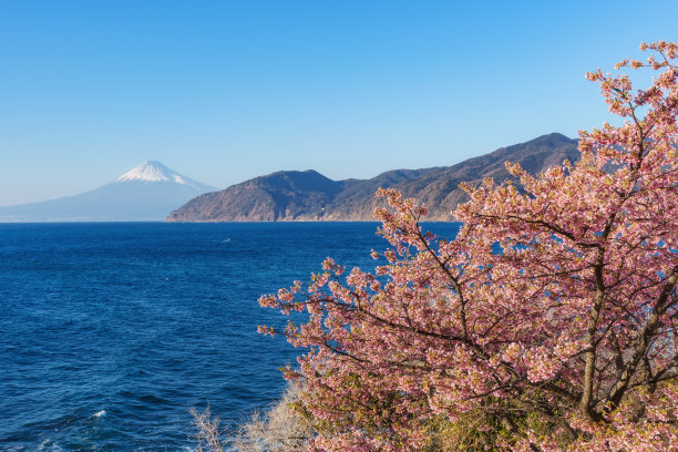 壮丽的富士山