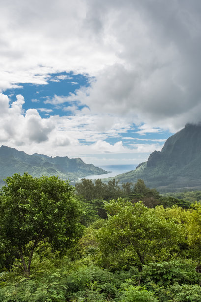 茉莉雅岛