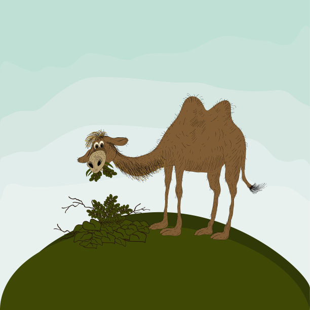 绿色的骆驼