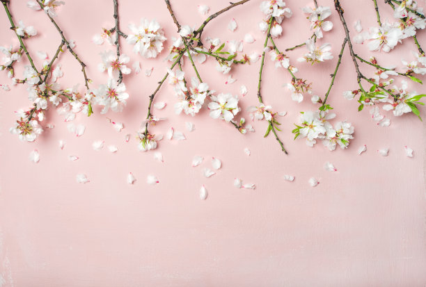 女王节背景板