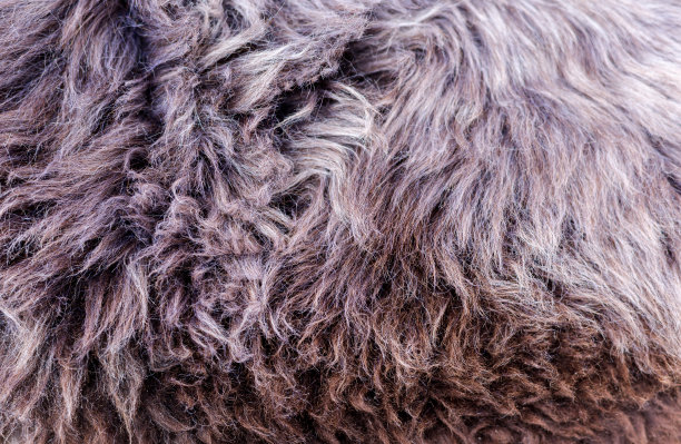 羊皮地毯