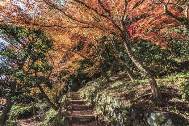 旅游指南旅游线路