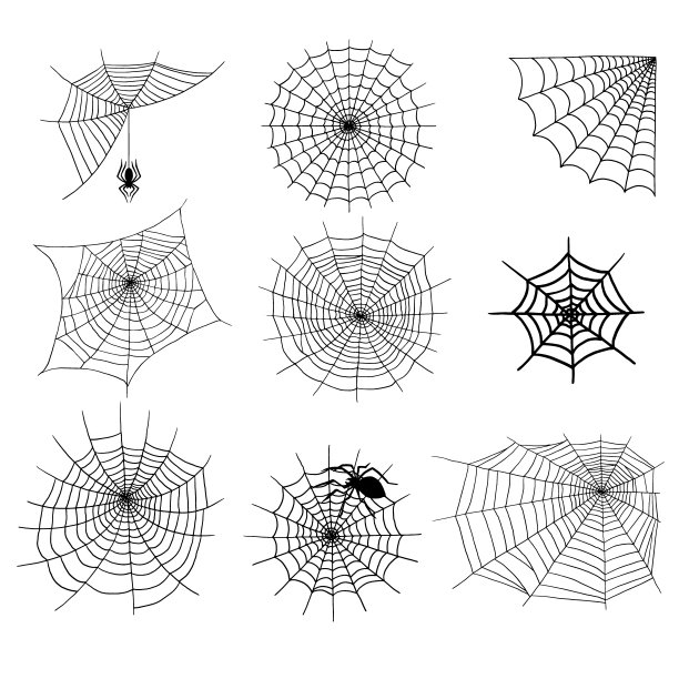 网中的蜘蛛