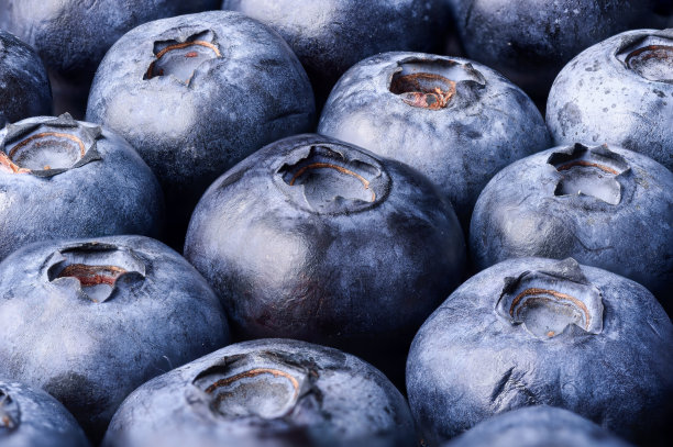 蓝莓水果之美高清摄影