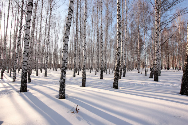 下雪后的操场