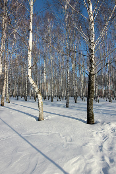 下雪后的操场