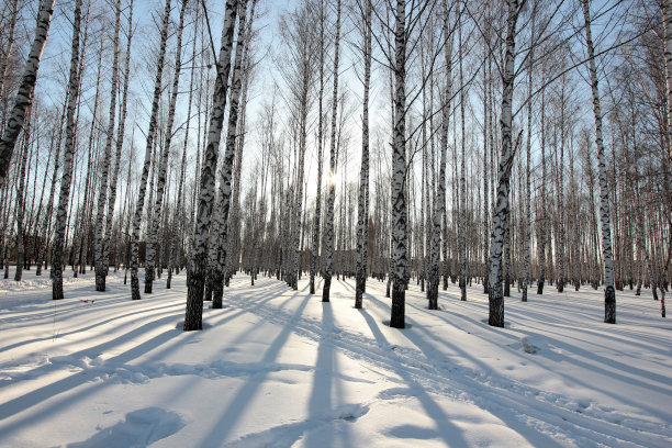 下雪后的操场