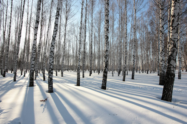 下雪后的操场