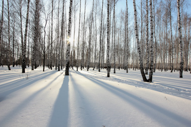 下雪后的操场