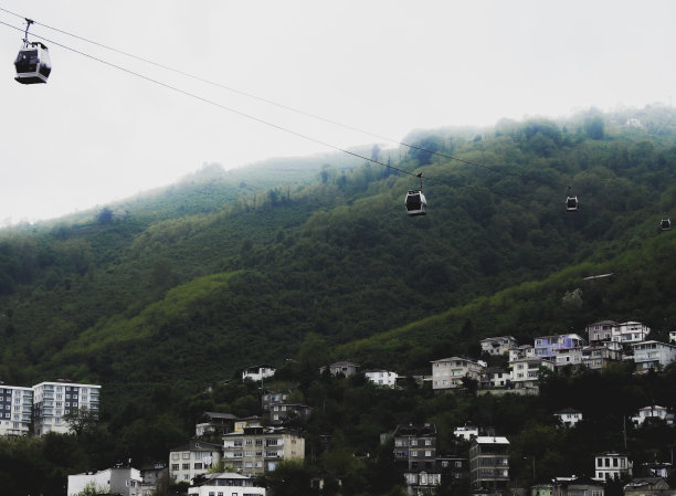 雨林的云雾