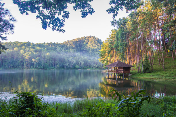 草庐,湿地公园