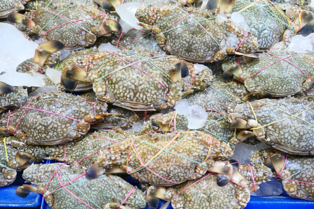 海鲜市场大螃蟹